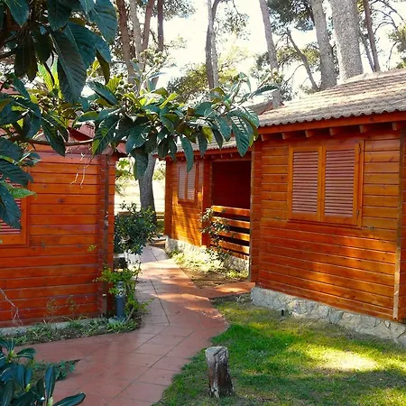 La Llosa קמברילס